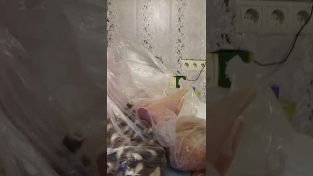 Советский прожорливый термит😊