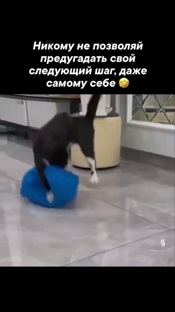 Будь непредсказуем!