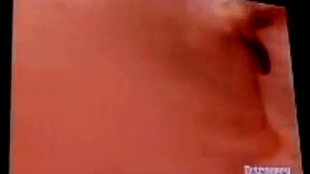 Video 4