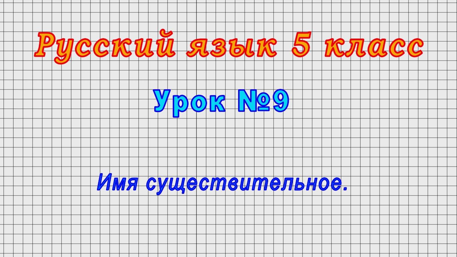 Русский язык 5 класс (Урок№9 - Имя существительное.)