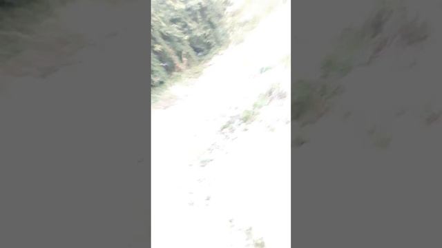 г.запорожье бывший кинотеатр Космос