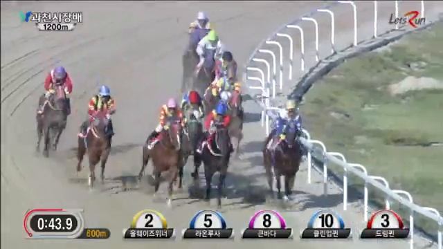 Gwacheon Mayor's Cup 2014 - Cosmos King