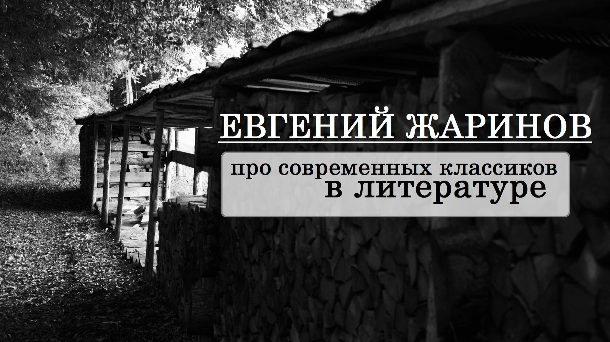 Евгений Жаринов про современных классиков в литературе