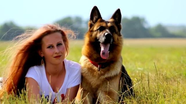 То что делали эти собаки со своей хозяйкой ночью, потрясло весь мир!
