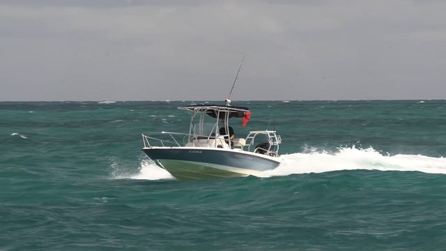 Haulover Inlet Boats! | Haulover Boats Crushing It!