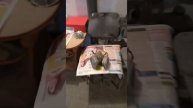 Покраска в снежку