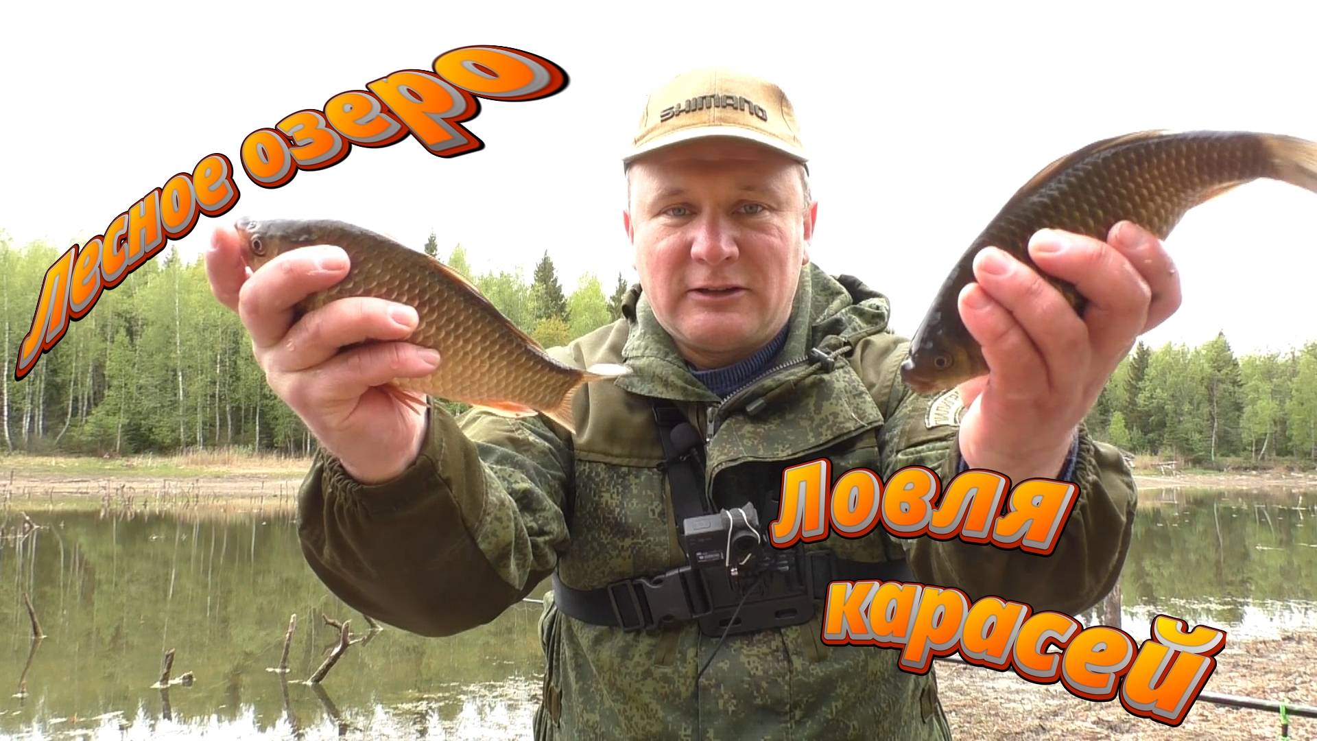 Лесное озеро и караси.