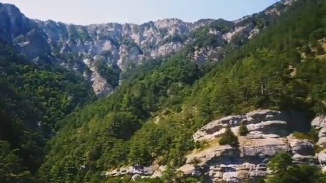 Бистро успокоить вас это музыка,,, 👍👍👍👍 odamni tez tinchlantiradigan muzika