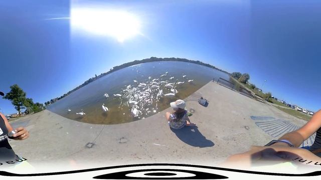 MADV Mini Panoramic Camera for Android Video Sample @ Lacul Lebedelor - Neptun & Jupiter Black Sea
