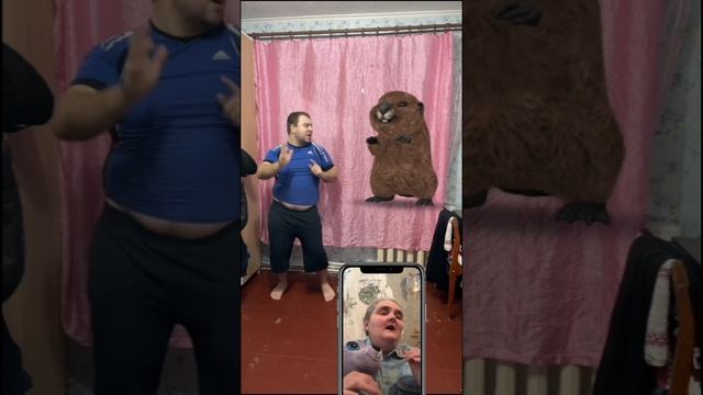 Сидим с бобром за столом вдвоем на ужин готовим полено