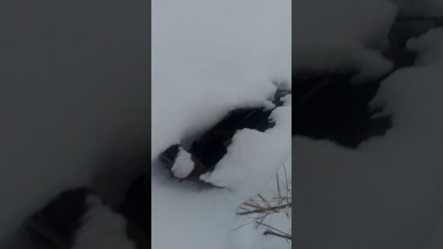 1000009734.mp4