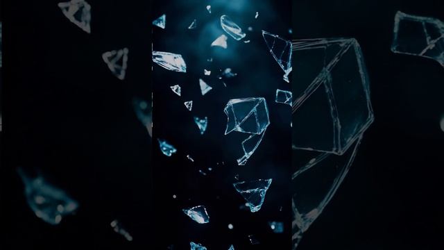 VID_20250129_192802_567.mp4