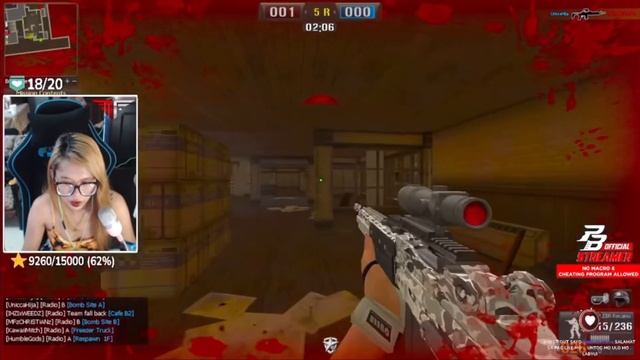 M14 EBR RECAMO