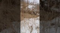 Дали угла на уазе