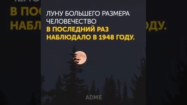 Не пропустите! Суперлуние! Сегодня! С 14 на 15 ноября 2016.