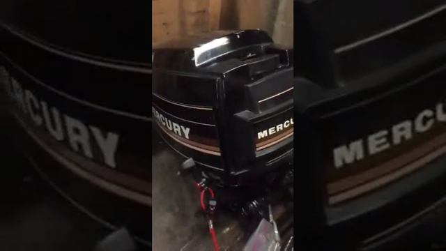 Perfect Running 9.8 HP Mercury