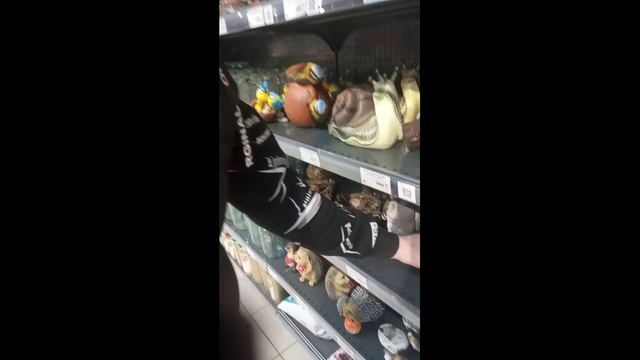Что же мы нашли в магазине?