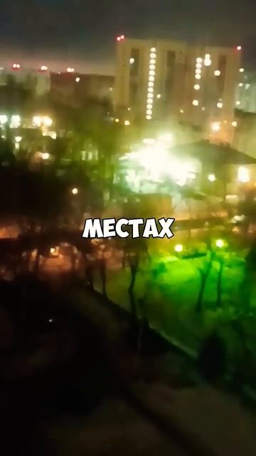 14 ноября 2024 г.