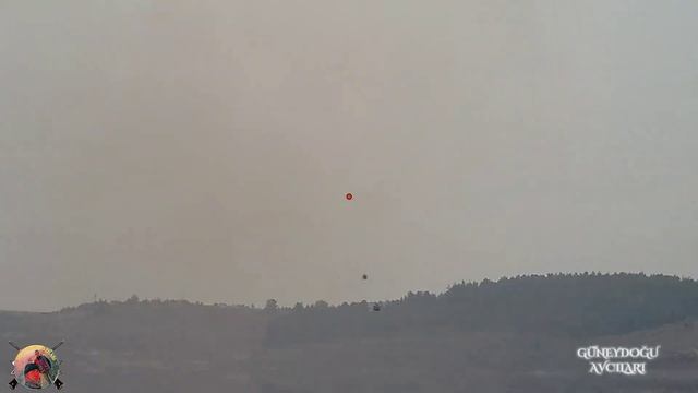 BU KAÇARMI ? DEDİRTEN KAÇIRILMAYACAK POZİSYONLAR/2021-2022  sezonu karavana atışlar/SHOTKAM KAMERA