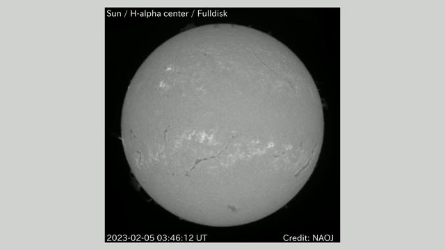 太陽 Hα全面観測 全面画像 2023年2月5日(Sun H-alpha Full Scale Observation, Full Image, Feb. 05, 2023)