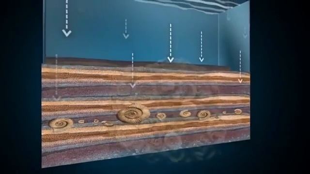 Пермь с начала, часть 2_ от одноклеточных до человека