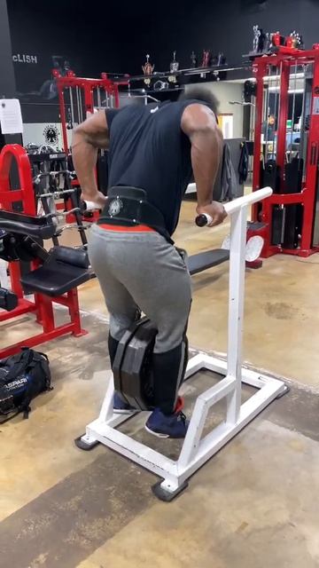 Weighted Dips (180lbs)