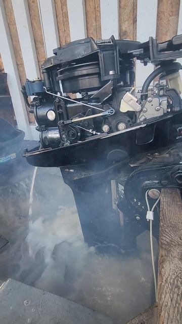 9.9HP Mercury 2 stroke, test run after carburetor cleaning! Feb.22, 2024.