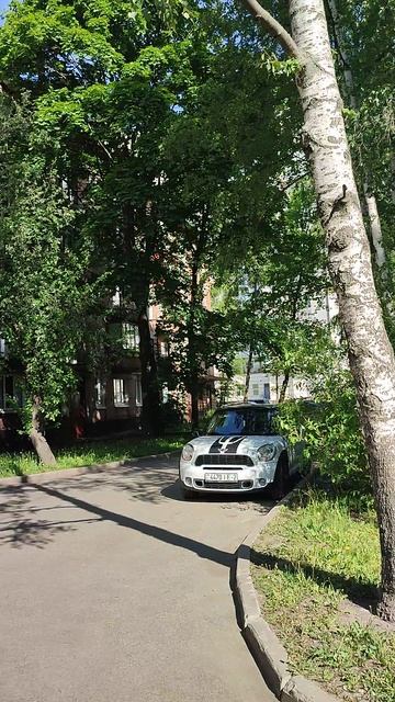 Питерский вайб