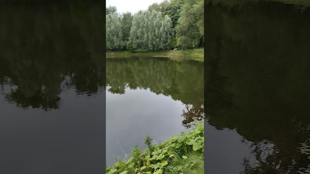 молвинский пруд СПб