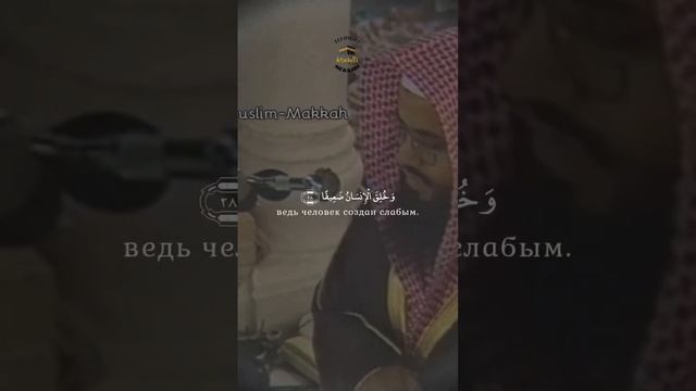 Сура Ан Ниса (Женщины) 26-30|| шейх Сауд аш Шурейм
