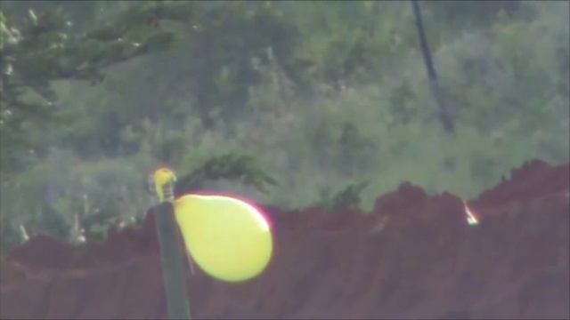 Cometa New Fenix 400 5,5mm + Tasco Target & Varmint 2,5~10x42