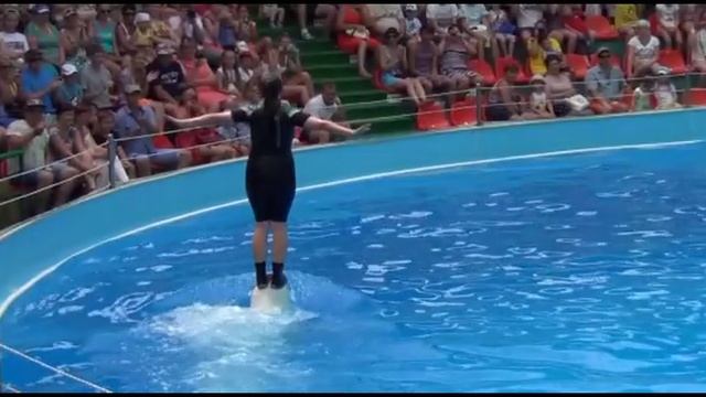 Сёма в дельфинарии 10 июля 2016г.