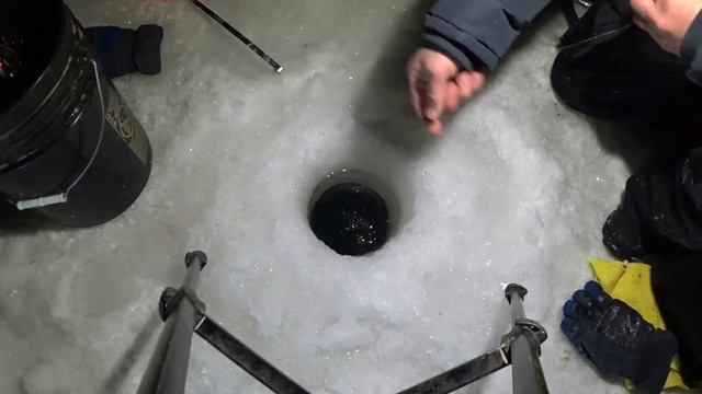 Бешенный клёв в полнолуние.