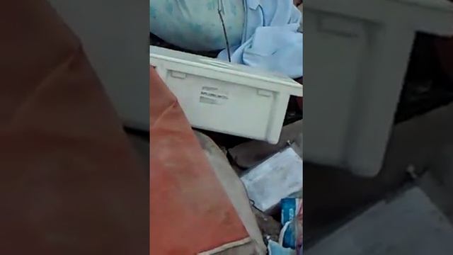 Медицинские отходы онкодиспансера оказались на стихийной свалке в лесу Кокшетау