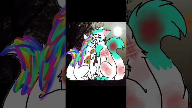 Радужный котик прости..... *Берёт боль* на себя*