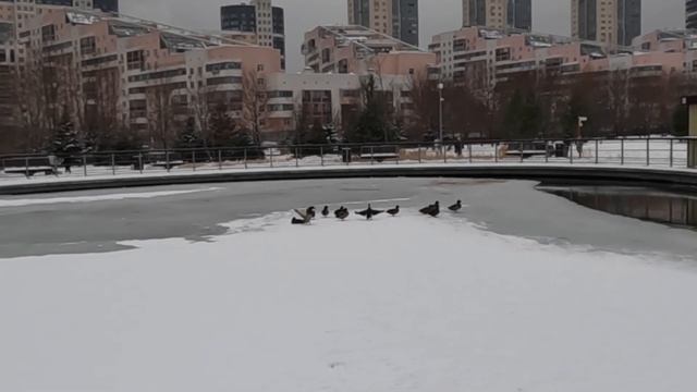Winter in Moscow  Snow fun