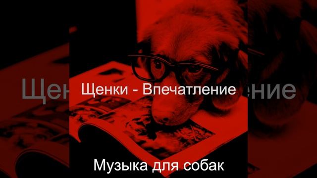 Атмосфера (Щенки)