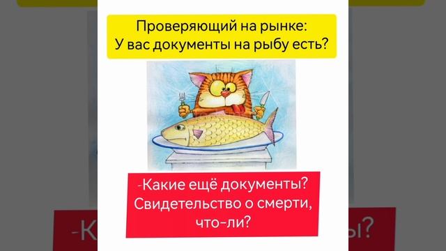 #юмор #смех #шутки #приколы #позитив