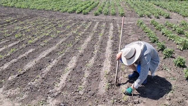 Пришлось менять счётчики...Опять упала камера! Ювелирная работа в огороде, На речку не дошла...