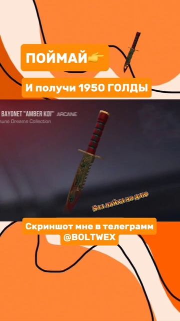 Поймай