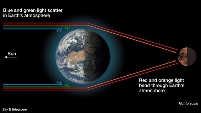 Total Lunar Eclipse - November 8, 2022