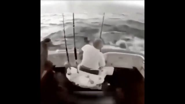 Лучшее видео со всего мира 5