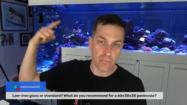 🔴 LIVE: All About FISH! Wrasses, Foxfaces, & More!  Reef Keeping Q & A Session w/Mr Saltwater Tank!