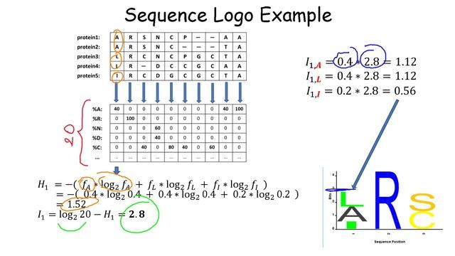 Sequence Profiles