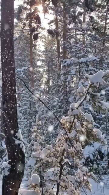 Неважно — сколько у тебя друзей.
Важно — сколько из них помогут тебе в трудную минуту и сколько вспо