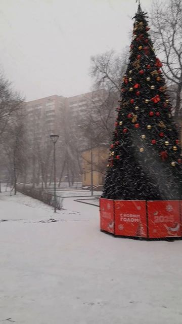 В Москве прошёл снег