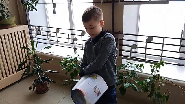 Цікаве читання — світу пізнання. Про цікаве читання журналу "Джміль" Даніїл Михайличенко.