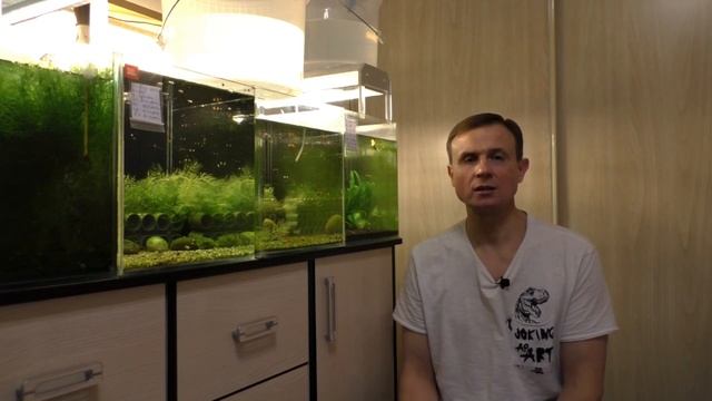 Для Новичков в аквариумистике  Вода в аквариуме с креветками