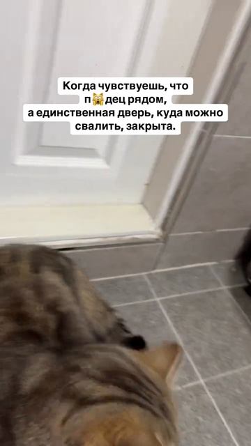 Некуда бежать!