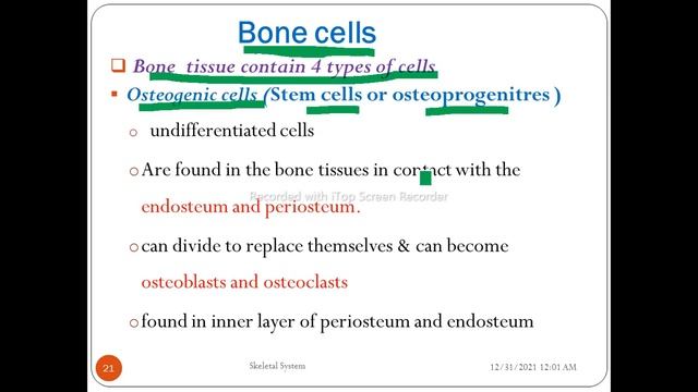 The Skeletal System, part one from all portions of the unit